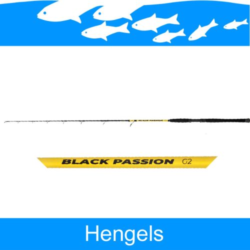 Meerval Hengels